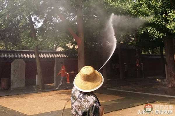 莒縣旅游局多舉措保護(hù)千年銀杏樹