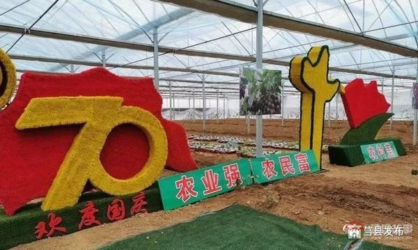 總投資1.2億元！莒縣這個(gè)“后花園”2020年上半年開門納客